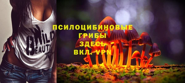 Альфа ПВП Верхний Тагил