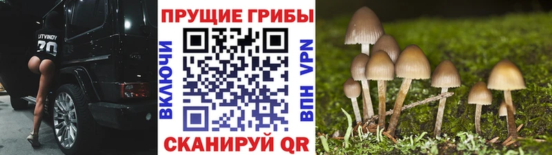 Псилоцибиновые грибы ЛСД  Ноябрьск 